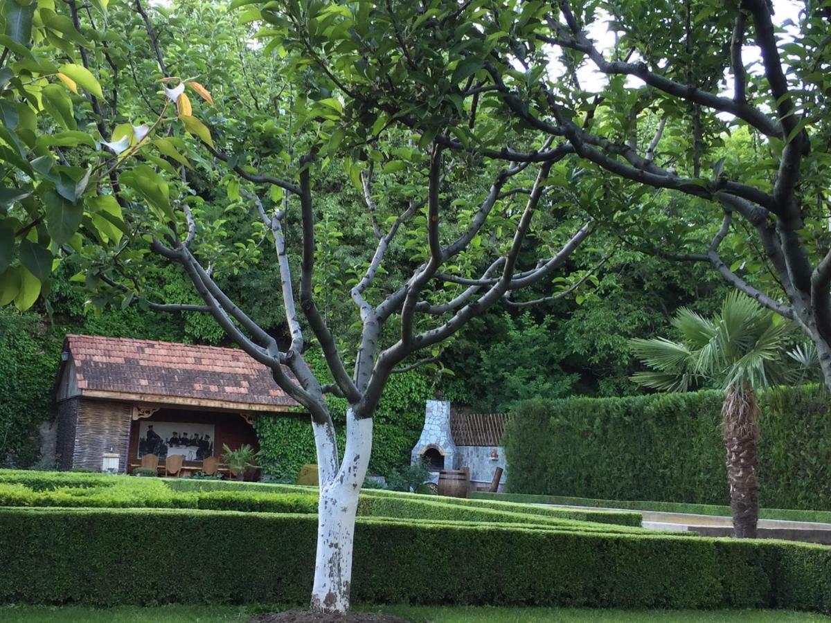 Aragvi Valley Vila Tsitelsopeli Exterior foto