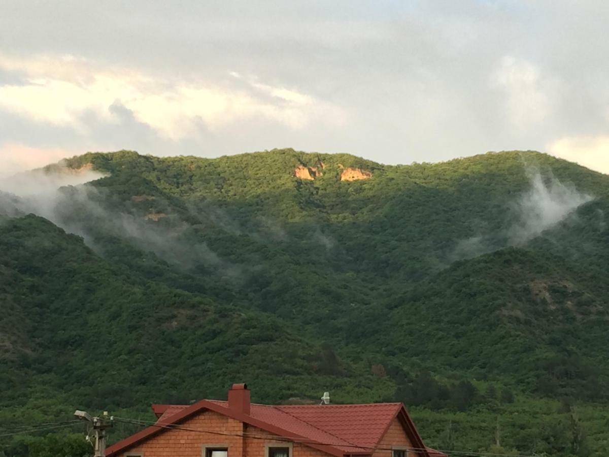 Aragvi Valley Vila Tsitelsopeli Exterior foto